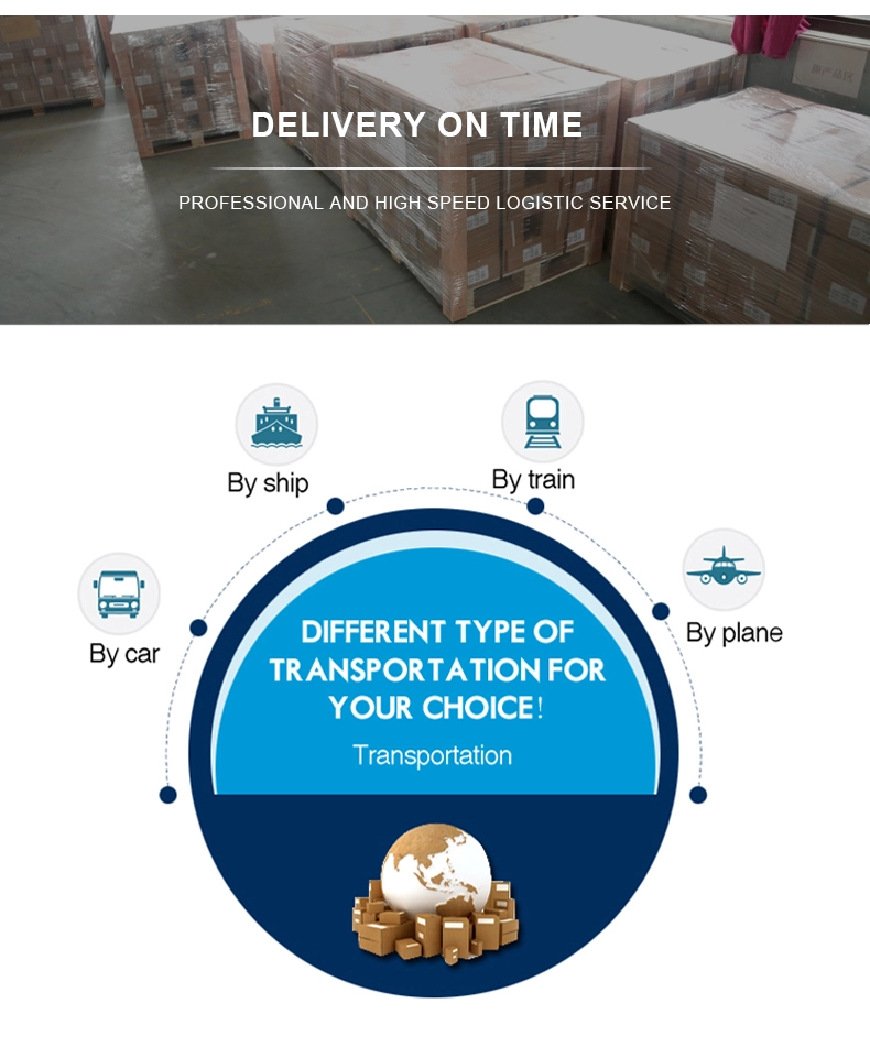 Spring Toggle Anchor With Eye Head Bolt